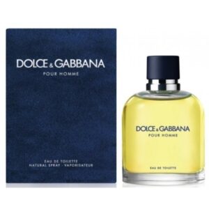 dolce gabbana the one men edp 100ml